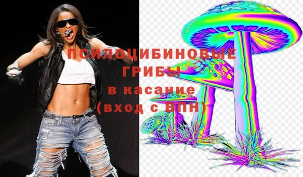 спиды Ельня